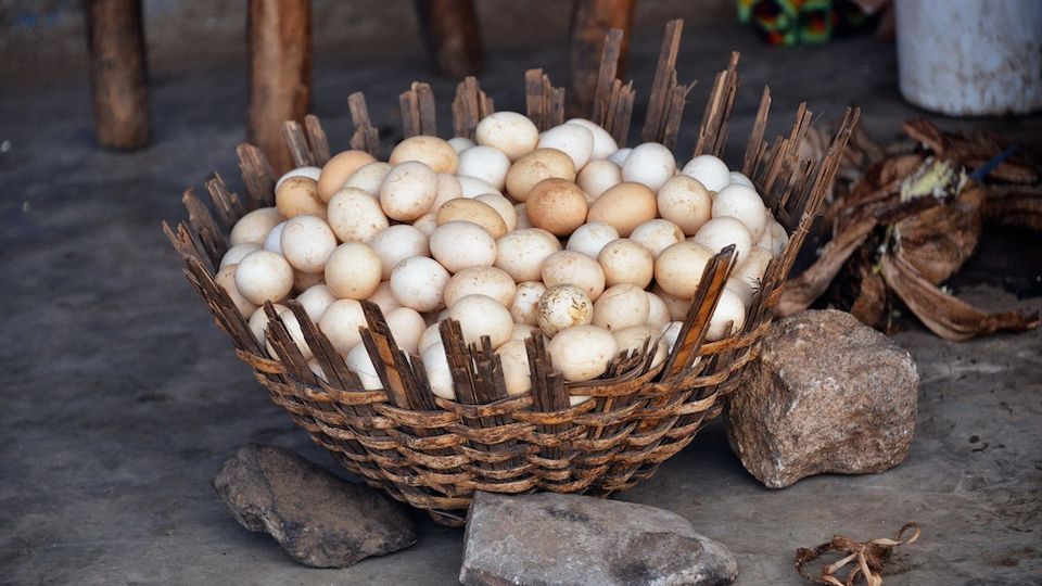 Woven basket filled with eggs