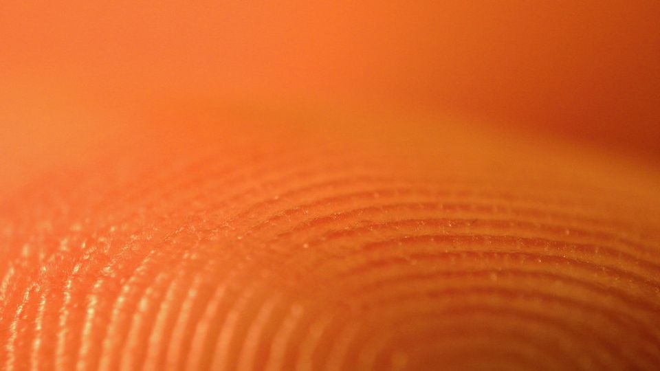 Macro photo of the ridges of a fingerprint in orange light