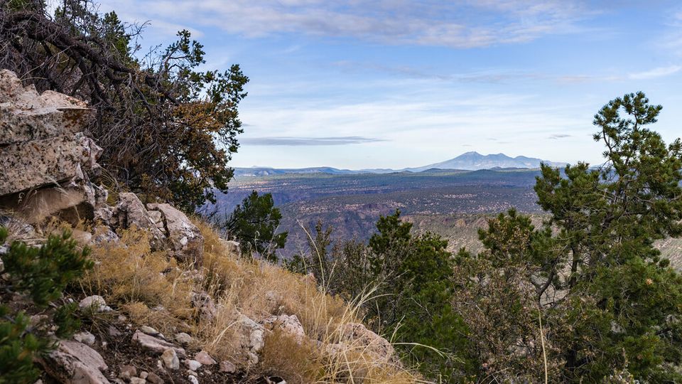 View over a wooded valley from a rocky hillside trail