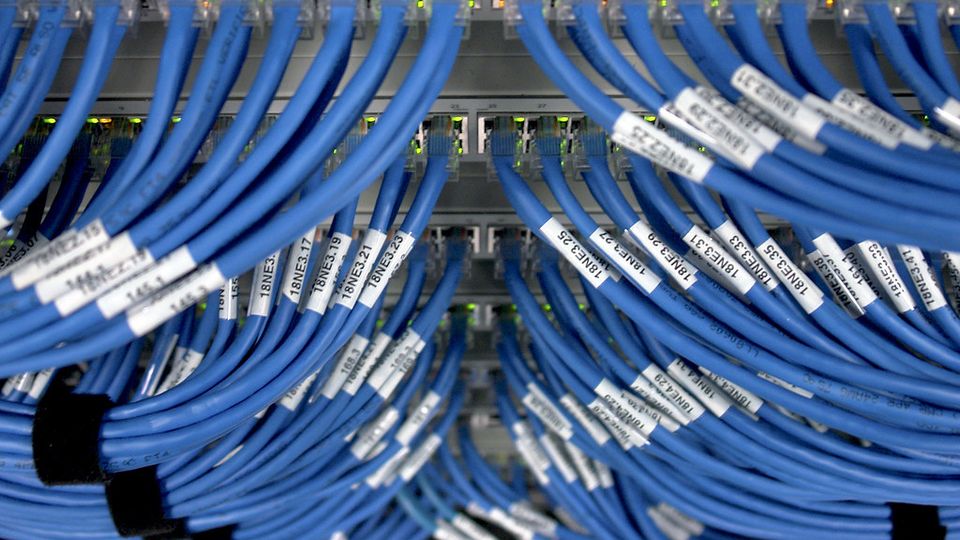 Blue network cables plugged into a rack-mounted switch