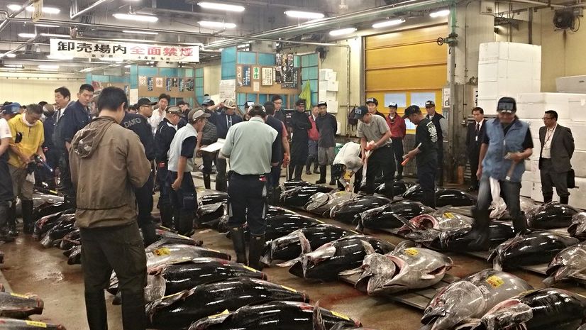 Crowded wholesale fish auction floor seen from above